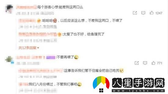 國(guó)慶趵突泉胖錦鯉撐死好幾條