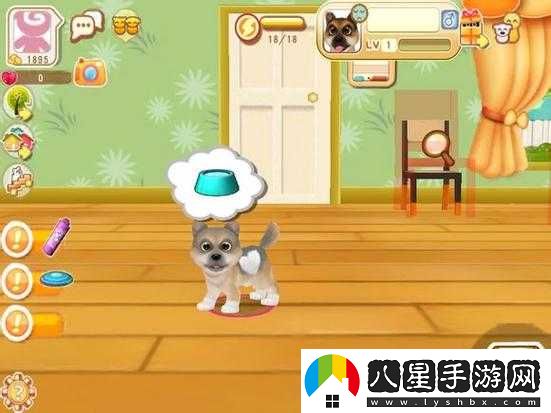 晴天小狗伴侶關系指南 助小狗告別孤單