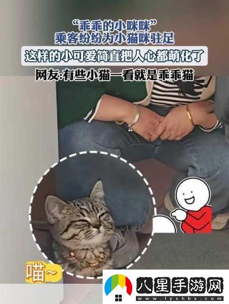萌寵新紀(jì)元！小貓咪大城市2024年攜中文版登陸XGP