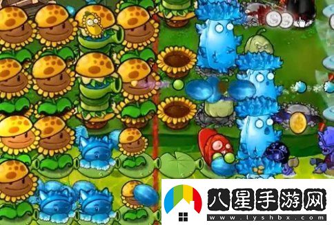 植物大戰(zhàn)僵尸雜交版63關(guān)怎么過