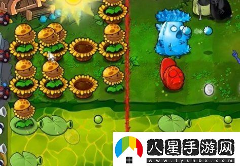 植物大戰(zhàn)僵尸雜交版63關(guān)怎么過