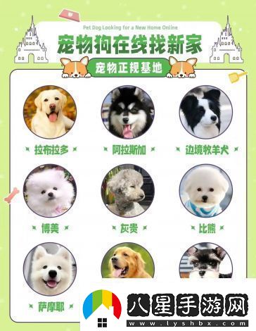 萌寵養(yǎng)成物語(yǔ)qq群