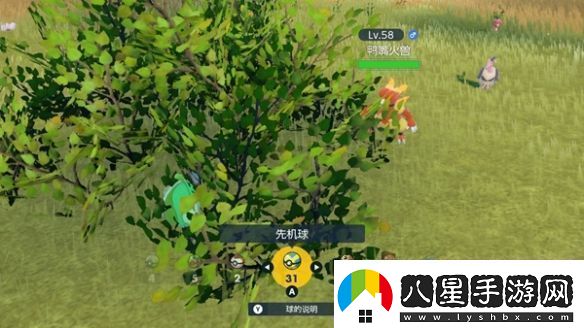 寶可夢朱紫dlc巨蛋限定對戰(zhàn)任務怎么做
