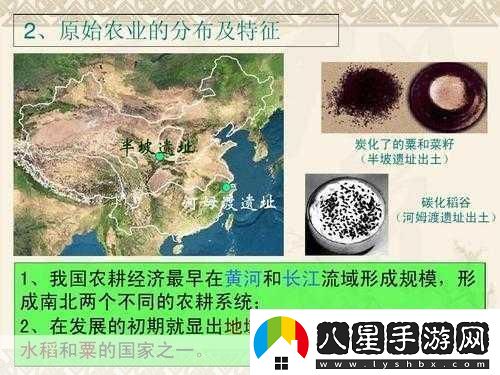 南稻北粟！