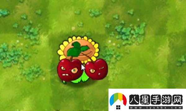 植物大戰(zhàn)僵尸融合版陽光炸彈有什么用