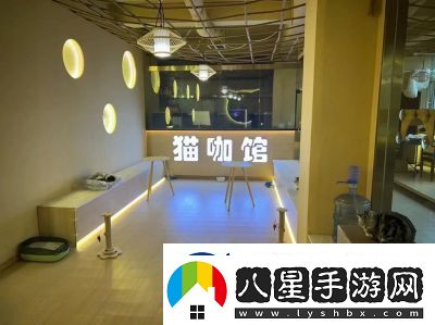 貓咪與湯宮貓?bào)w驗(yàn)館奉旨擼貓主題店正式上線(xiàn)