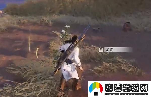 燕云十六聲杏花不見的獲取方法及詳細攻略分享