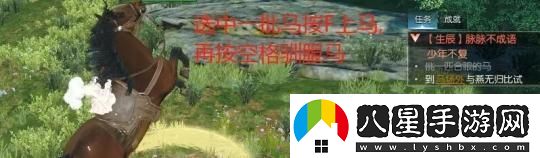 逆水寒手游脈脈不成語(yǔ)奇遇任務(wù)攻略詳解，輕松過(guò)關(guān)的方法分享