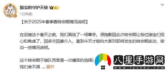 狼隊(duì)轉(zhuǎn)會說明