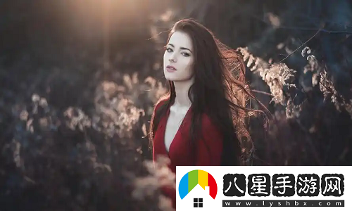 歐亞尺碼專線免費(fèi)服務(wù)2024跨境電商賣家的新機(jī)遇