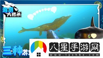戰(zhàn)國(guó)無(wú)雙42武將排名分析與游戲策略推薦