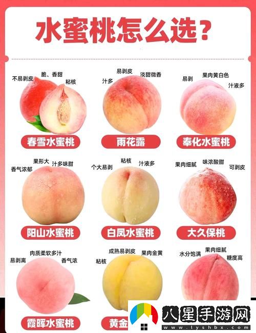 新探索蜜桃國(guó)精產(chǎn)品二三三區(qū)的魅力與價(jià)值