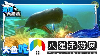 海賊無(wú)雙4怎么雙人對(duì)打啊