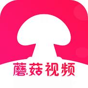 探索蘑菇視頻頁版入口怎么打開的便捷方式