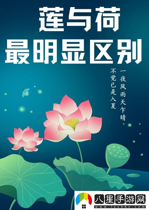 倒插蓮花男女之間的寓意穩(wěn)居榜首