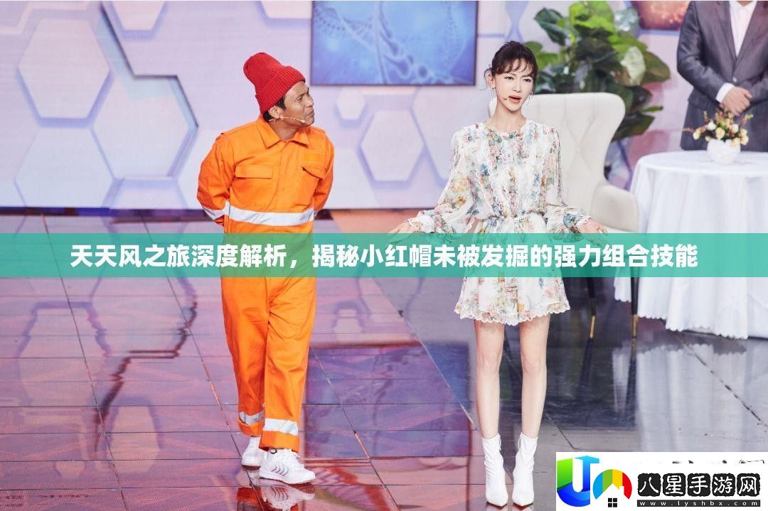 天天風之旅深入分析